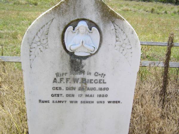 A.F.F.W. BIEGEL,  | born 26 Aug 1850 died 17 May 1920;  | Milbong St Luke's Lutheran cemetery, Boonah Shire  | 