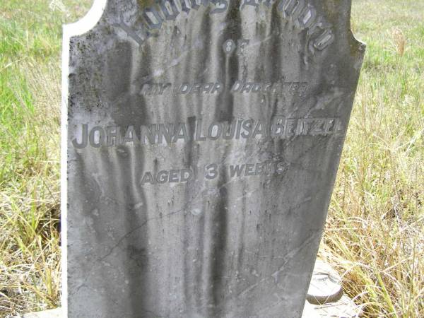 Johanna Louisa BEITZEL,  | daughter,  | aged 3 weeks;  | Milbong St Luke's Lutheran cemetery, Boonah Shire  | 