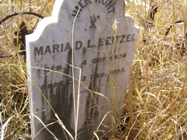 Maria D.L. BEITZEL,  | born 4 Oct 1884,  | died 2 Dec 1893;  | Milbong St Luke's Lutheran cemetery, Boonah Shire  | 