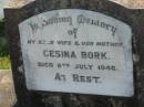 
Gesina BORK
8 Jul 1946
Minden Zion Lutheran Church Cemetery
