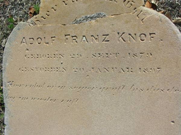 Adolf Franz KNOF  | b: 29 Sep 1879, d: 20 Jan 1897  | Minden Zion Lutheran Church Cemetery  | 