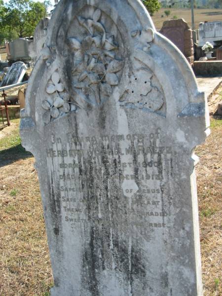 Herbert Wilhelm RAETZ  | b: 15 Aug 1900, d 2 Dec 1913  | Minden Zion Lutheran Church Cemetery  | 
