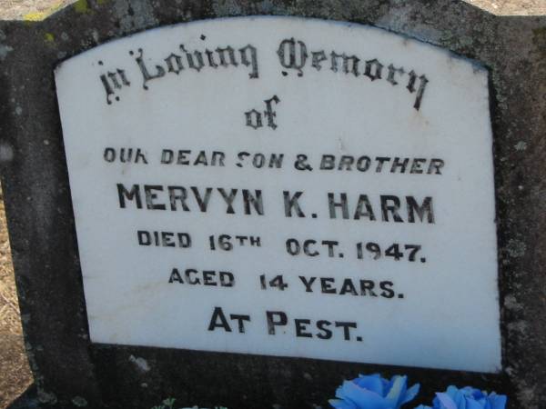 Mervyn K HARM  | 16 Oct 1947, aged 14  | Minden Zion Lutheran Church Cemetery  | 