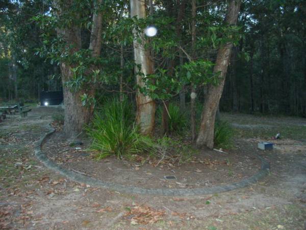 Mooloolah cemetery, City of Caloundra  |   | 