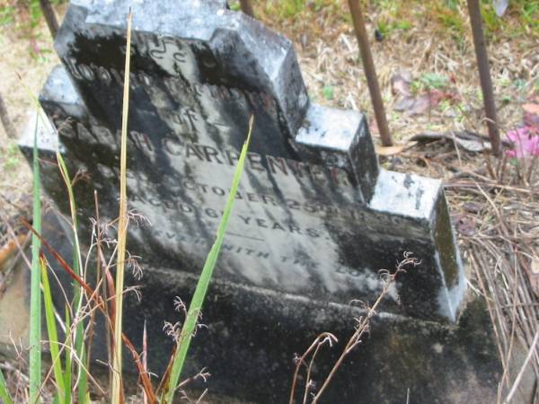 Sarah CARPENTER,  | died 25 Oct 1898 aged 61 years;  | Mooloolah cemetery, City of Caloundra  |   | 