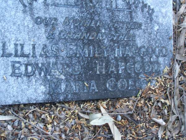 Lilias Emily HAPGOOD,  | mother;  | Edward HAPGOOD,  | father,  | Maria COE,  | grandmother;  | Mooloolah cemetery, City of Caloundra  |   | 