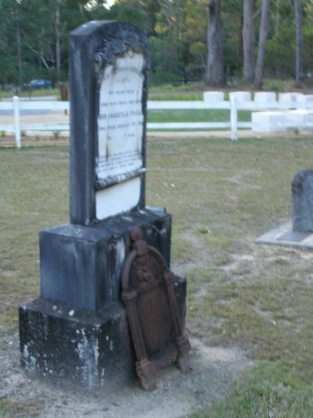 Ann Isabella TRAILL,  | wife mother,  | died 3 Aug 1919 aged 75 years;  | Mooloolah cemetery, City of Caloundra  |   | 