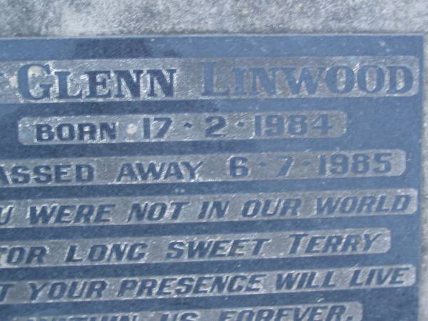 Terry Glenn LINWOOD,  | born 17-2-1984,  | died 6-7-1985;  | Mooloolah cemetery, City of Caloundra  |   | 