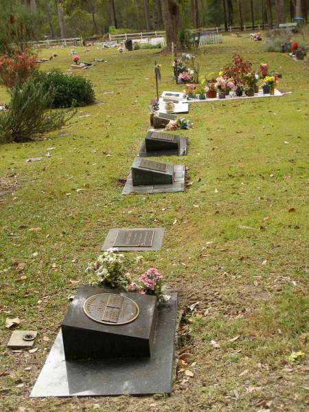 Mooloolah cemetery, City of Caloundra  | 