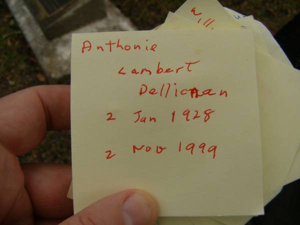 Anthonie Lambertus DELLICNAN?,  | 2 Jan 1928 - 2 Nov 1999;  | Mooloolah cemetery, City of Caloundra  | 