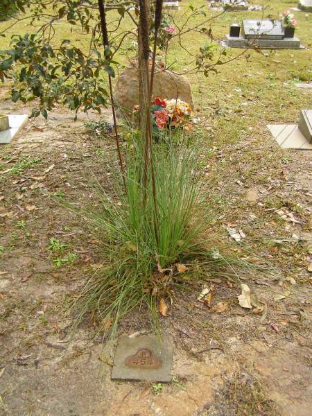 Mooloolah cemetery, City of Caloundra  | 