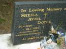 
Sheila Avril DOYLE,
20-4-1926 - 22-1-2000,
wife mother grandmother;
Mooloolah cemetery, City of Caloundra

