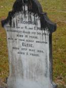 
Thomas,
youngest son of H. & E. MUNRO,
accidentally killed 15 Dec 1923;
Elsie,
eldest daughter,
died 29 May 1899 aged 5 years;
Elizabeth MUNRO,
mother,
died 3 April 1925 aged 56 years;
Mooloolah cemetery, City of Caloundra

