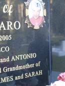 
Rosaria LAZZARO,
16-10-1928 - 20-11-2005,
wife of Francesco,
mother Anna & Antonio,
mother-in-law of Donna,
grandmother of Cassandra, Matthew, James & Sarah;
Mooloolah cemetery, City of Caloundra

