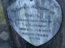 
Doris (Dot),
daughter of S. & J. JOHNSON,
died 8 Feb 1937 aged 10 years;
Mooloolah cemetery, City of Caloundra

