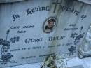 
Gorg BULIC,
son brother,
born 19-6-1970,
died 26-7-1977;
Mooloolah cemetery, City of Caloundra

