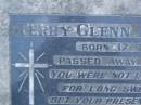 Terry Glenn LINWOOD, born 17-2-1984, died 6-7-1985; Mooloolah cemetery, City of Caloundra  