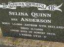
Selina QUINN (nee ANDERSON),
born Antrim Nth Irleand 1-5-1906,
died 14-7-1996,
wife of Robert (decd);
Mooloolah cemetery, City of Caloundra
