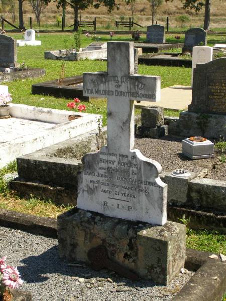 Vida Mildred Dorothea (Millie),  | wife of Henry HOPLEY,  | daughter of John & Lucy CARSELDINE,  | died 3 March 1930 aged 21 years;  | Moore-Linville general cemetery, Esk Shire  | 