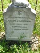 Joseph J. HAWTHORNE, died 7 Jan 1910 aged 2 years; Moore-Linville general cemetery, Esk Shire 