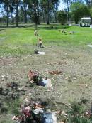 Moore-Linville general cemetery, Esk Shire 