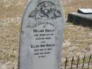 
William BAILLS
25 Mar 1916
aged 66 yrs

Ellen Ann BAILLS
31 May 1922
aged 63 yrs

Mt Walker HistoricPublic Cemetery, Boonah Shire, Queensland

