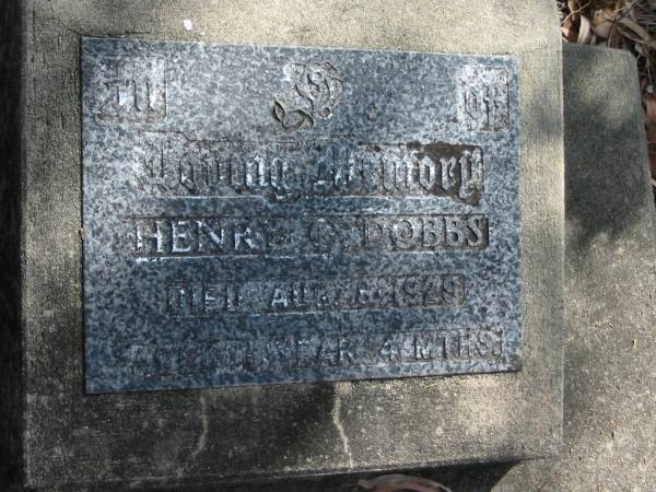 Henry C DOBBS  | 8 Aug 1929  | Aged 1 year 4 months  |   | Mt Walker Historic/Public Cemetery, Boonah Shire, Queensland  |   | 