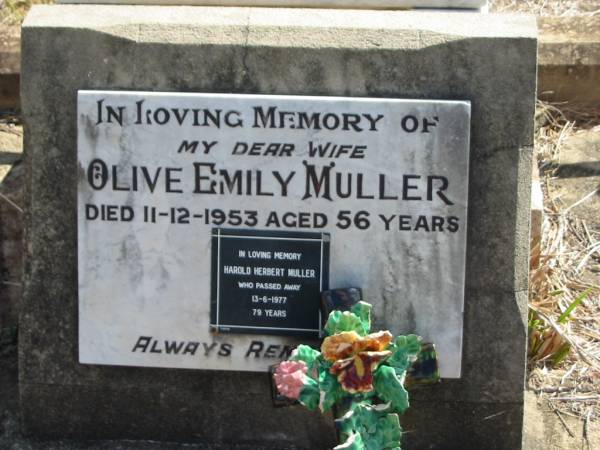 Johann Joachim Frederick HINRICHSEN  | 6 Jan 1916  | aged 75 yrs  |   | Olive Emily MULLER  | 11-12-1953 aged 56  |   | Harold Herbert MULLER  | 13-6-1977 aged 79  |   | Mt Walker Historic/Public Cemetery, Boonah Shire, Queensland  |   | 