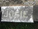 
Josephine HAACK (Josie)
d: 14 Mar 1989, aged 43
Mt Cotton  Gramzow  Cornubia  Carbrook Lutheran Cemetery, Logan City

