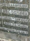 
W F SOMMER
24 Nov 1926, aged 78
A F C SOMMER
16 Jan 1926, aged 73
Mt Cotton  Gramzow  Cornubia  Carbrook Lutheran Cemetery, Logan City

