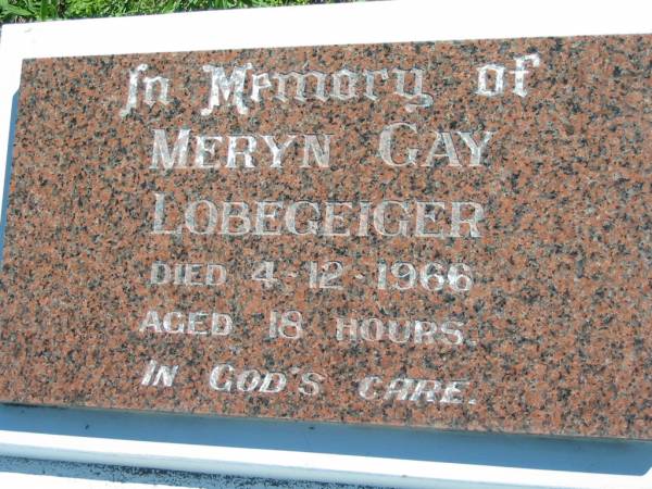 Meryn Gay LOBEGEIGER  | 4 Dec 1966, aged 18 hours  | Mount Beppo Apostolic Church Cemetery  | 