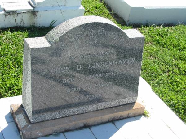 George D LINDENMAYER  | 19 Apr 1945, aged 58  | Mount Beppo Apostolic Church Cemetery  | 