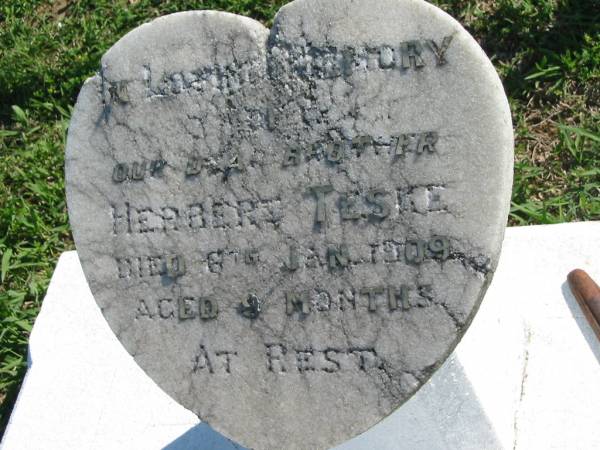 Herbert TESKE  | 6 Jan 1909, aged 9 months  | Mount Beppo Apostolic Church Cemetery  | 