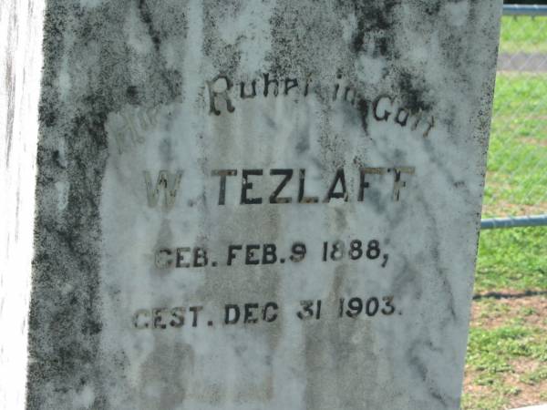 W TEZLAFF  | b: 9 Feb 1888, d: 31 Dec 1903  | Mount Beppo Apostolic Church Cemetery  | 