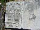
Reginald BLIESNER (Reg),
accidentally killed 27 Sept 1938 aged 21 years;
Mt Beppo General Cemetery, Esk Shire
