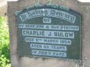 
Charlie J. BULOW, son brother,
died 9 March 1954 aged 43 years;
Mt Beppo General Cemetery, Esk Shire
