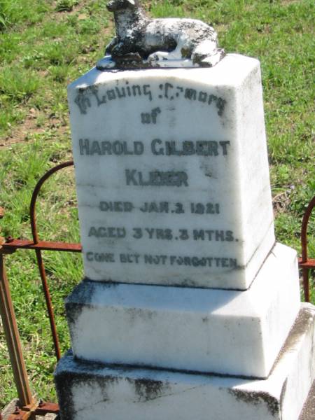 Harold Gilbert KLEIER,  | died 2 Jan 1921 aged 3 years 3 months;  | Mt Beppo General Cemetery, Esk Shire  | 