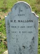 H,E. MALLONN, born 11 Jan 1827 died 2 Oct 1901; Mt Beppo General Cemetery, Esk Shire 