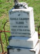 
Harold Gilbert KLEIER,
died 2 Jan 1921 aged 3 years 3 months;
Mt Beppo General Cemetery, Esk Shire
