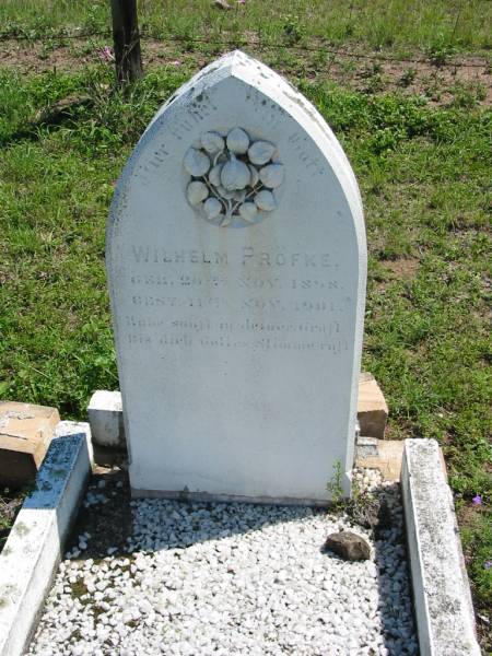 Wilhelm PROFKE,  | born 20 Nov 1898 died 11 Nov 1901;  | Mt Beppo General Cemetery, Esk Shire  | 