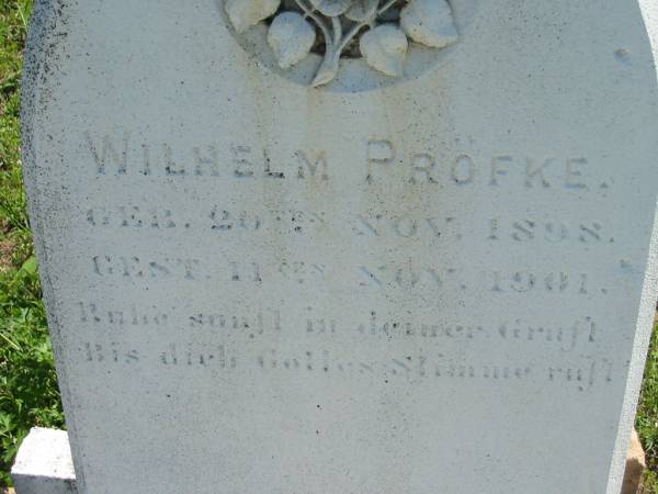 Wilhelm PROFKE,  | born 20 Nov 1898 died 11 Nov 1901;  | Mt Beppo General Cemetery, Esk Shire  | 