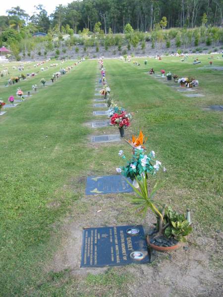 Mudgeeraba cemetery, City of Gold Coast  | 