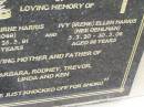 
James Osbourne HARRIS,
7-9-19 - 25-5-91 aged 71 years;
Ivy (Irene) Ellen HARRIS (nee OEHLMAN),
5-2-20 - 30-5-06 aged 86 years;
mother & father of
Barbara, Rodney, Trevor, Linda & Ken;
Mudgeeraba cemetery, City of Gold Coast
