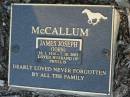 
James Joseph (John) MCCALLUM,
10-1-1916 - 7-10-2002,
husband of Phyllis;
Mudgeeraba cemetery, City of Gold Coast

