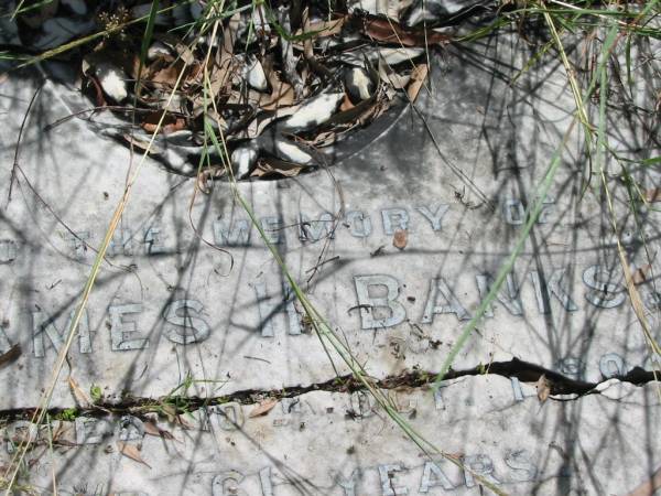 James H. BANKS,  | died 10 Oct 1904 aged 61 years;  | Esther Ann, wife,  | died 11 Oct 1912 aged 61 years;  | Mundoolun Anglican cemetery, Beaudesert Shire  | 