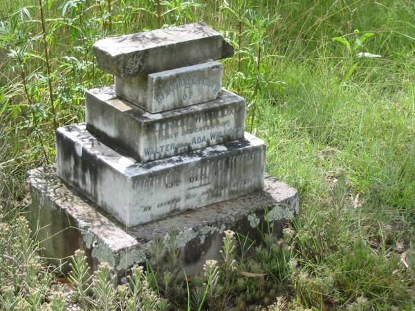 Dorice WILLCOX,  | only daughter of Walter & Ada WILLCOX,  | accidentally drowned at Tambourine  | 13 Dec 1913;  | Mundoolun Anglican cemetery, Beaudesert Shire  | 