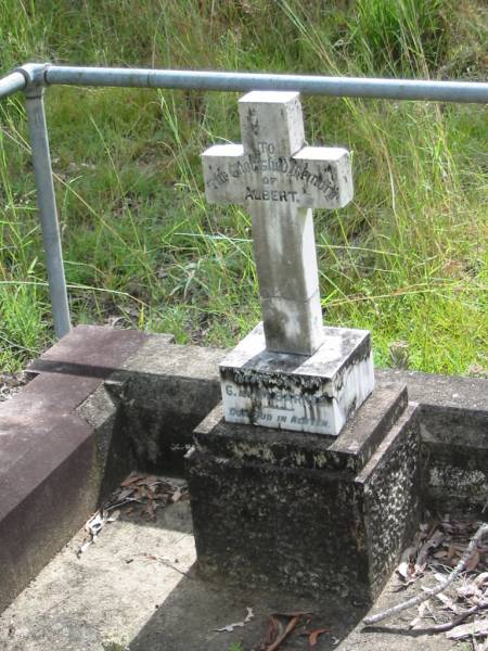 Albert, infant son of G & M BARNES;  | Mundoolun Anglican cemetery, Beaudesert Shire  | 