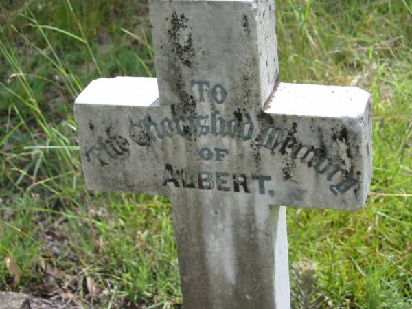Albert, infant son of G & M BARNES;  | Mundoolun Anglican cemetery, Beaudesert Shire  | 