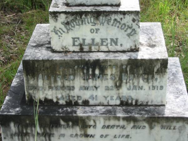 Ellen, wife of Alfred James BOYLE,  | died 22 Jan 1919 aged 41 years;  | Alfred James BOYLE, husband,  | died 23 Sept 1943 aged 76 years;  | Mundoolun Anglican cemetery, Beaudesert Shire  | 