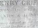 
Thomas Henry GRIFFITHS, son brother,
died 16 Nov 1924 aged 30 years 6 months;
Murphys Creek cemetery, Gatton Shire
